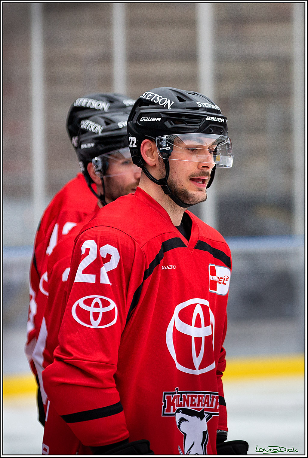 PENNY DEL; Koelner Haie Wintergame Training; Koeln, 02.12.2022